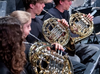 Concert des orchestres EMM - Avril 2026 (14)