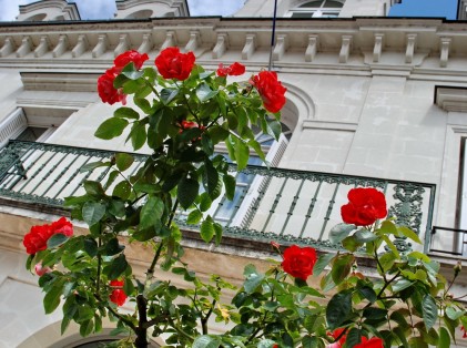 Mairie de Saint-Avertin