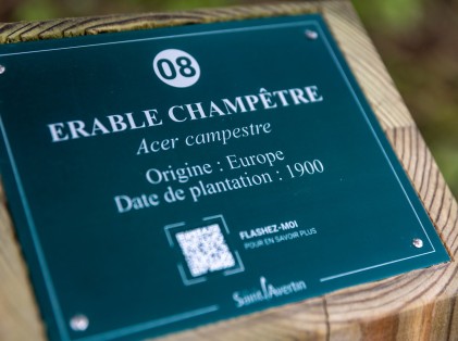 Inauguration de l'Arboretum de Cangé (8)