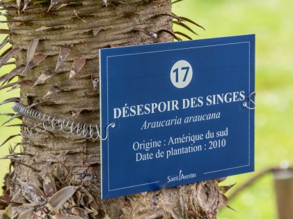 Inauguration de l'Arboretum de Cangé (9)