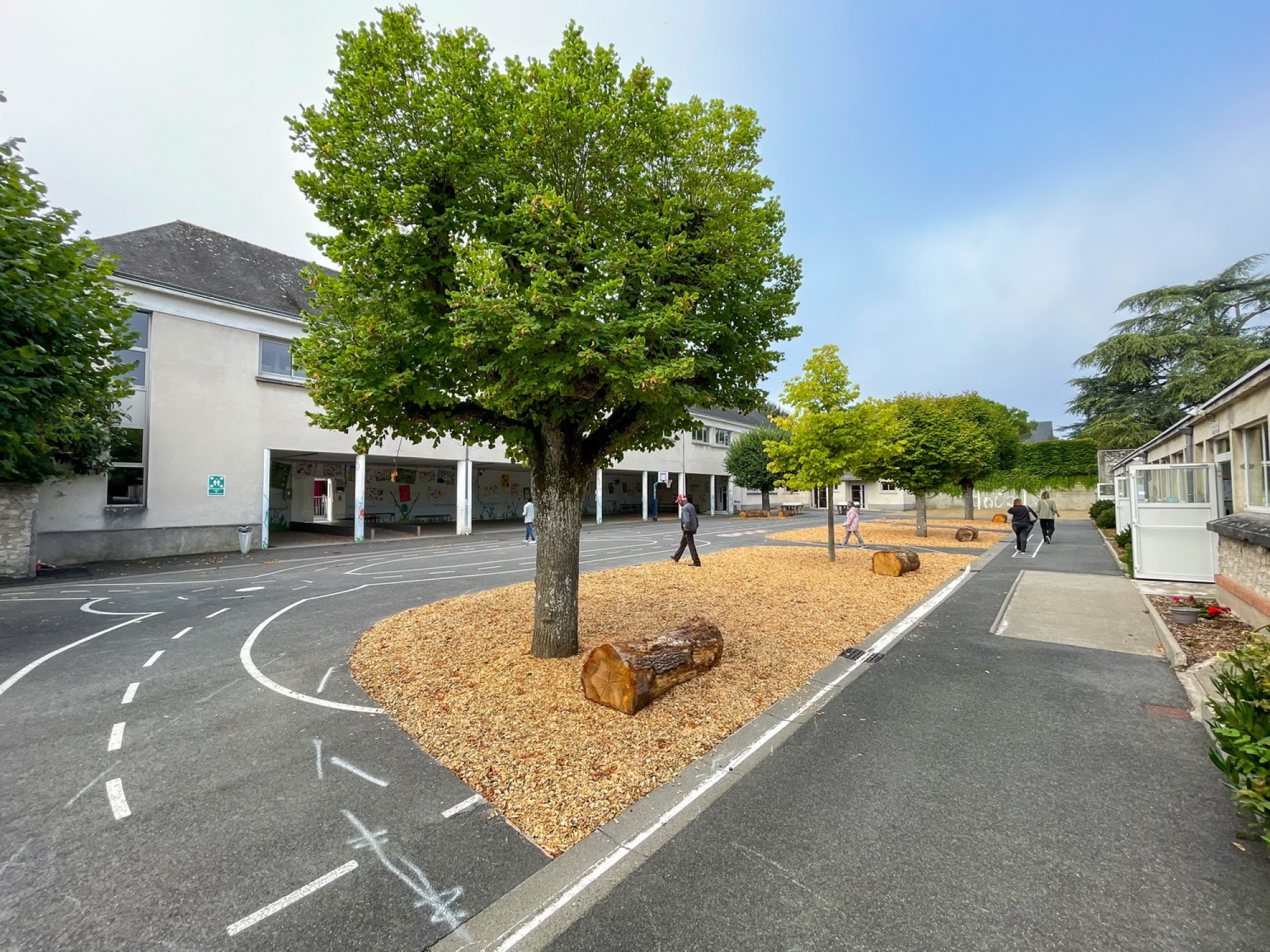 Inauguration de la végétalisation des cours d’écoles