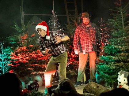 Marché de Noël 2025 (8)