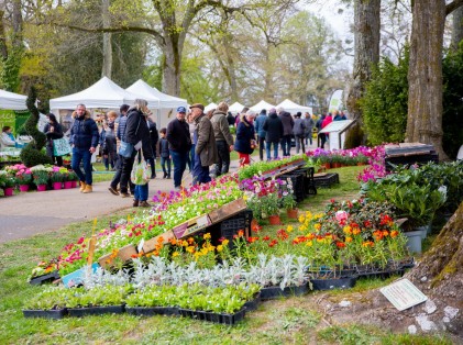 Nature en fête 2022 (10)