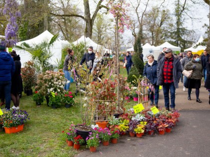 Nature en fête 2022 (7)