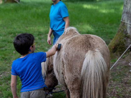 Nature en fête 2024 (14)