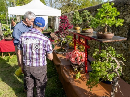 Nature en fête 2024 (8)