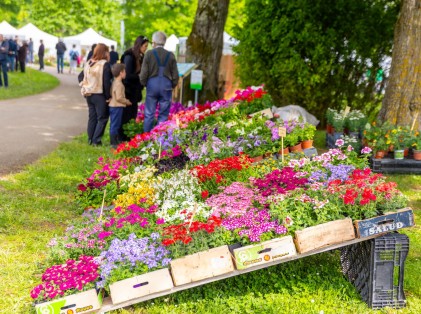 Nature en fête 2025 (19)