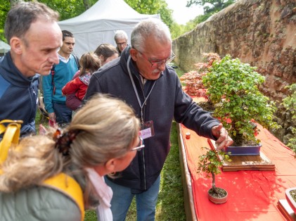 Nature en fête 2025 (3)