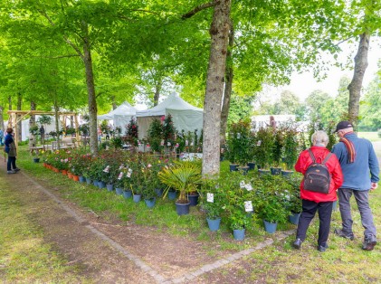 Nature en fête 2025 (4)