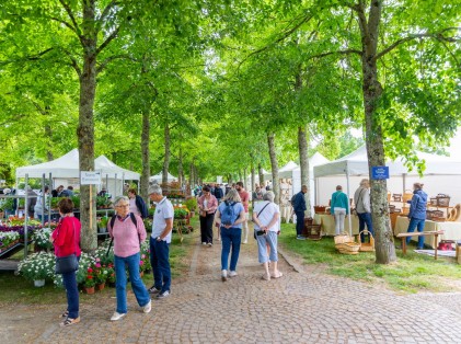 Nature en fête 2026 (22)