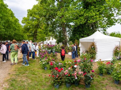 Nature en fête 2026 (23)