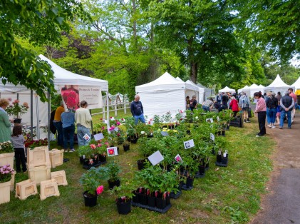 Nature en fête 2026 (8)