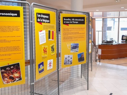 semaine_belge_drapeaux_expos (3)