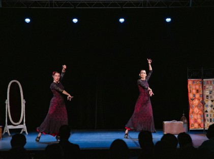 semaine_espagnole_spectacle_flamenco (4)