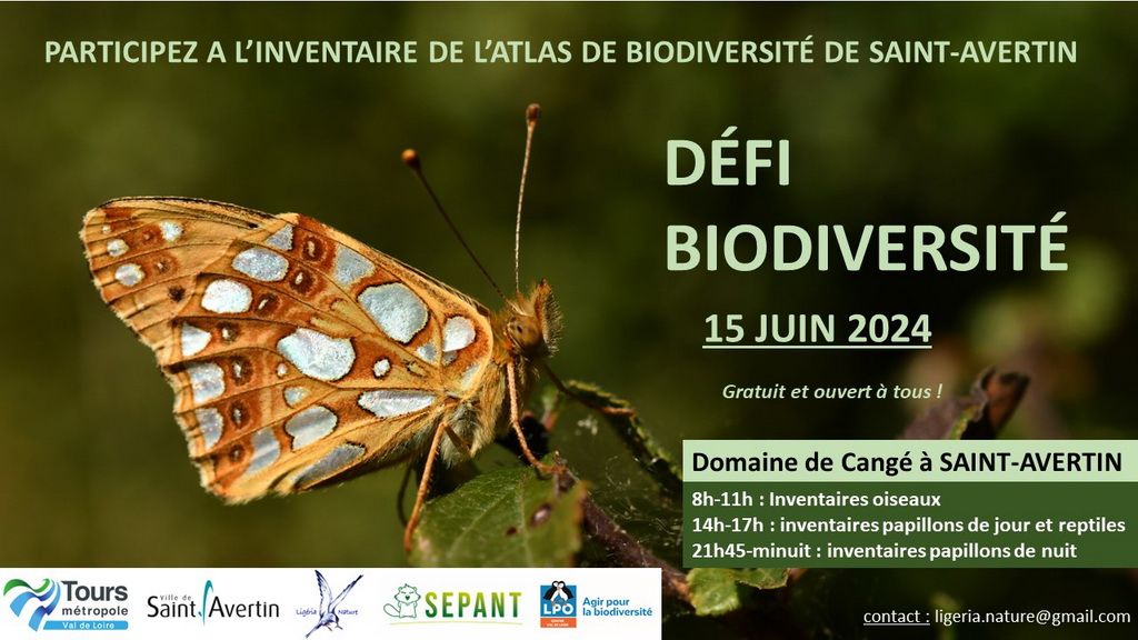 Affiche Défi_biodiv_VF