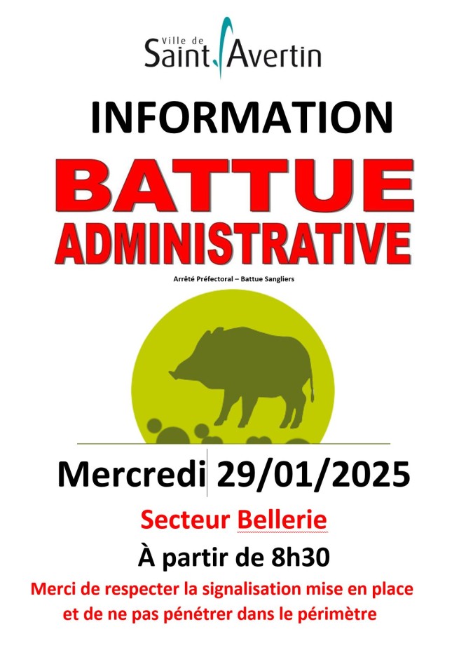 battue sanglier 29 janv 2025