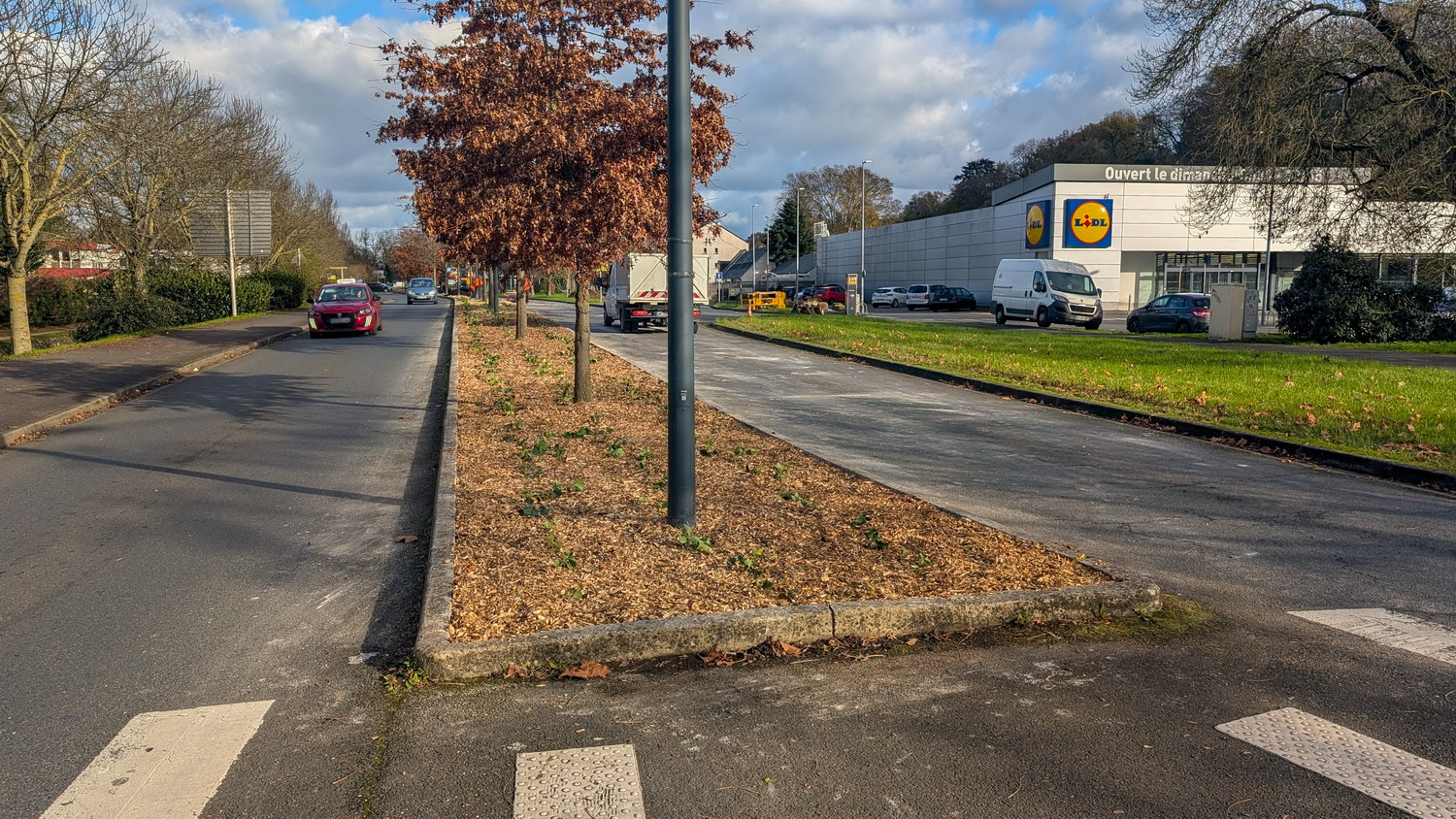 végétalisation avenue du Lac web (4)