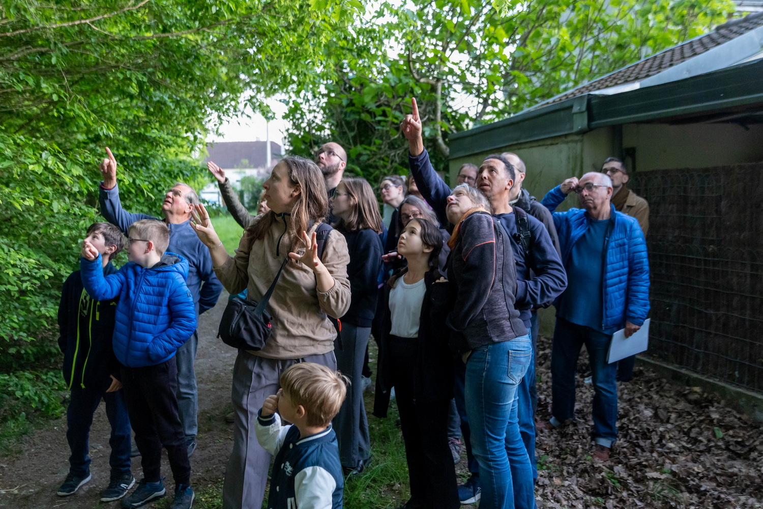 soirée chauve-souris médiathèque web (2)