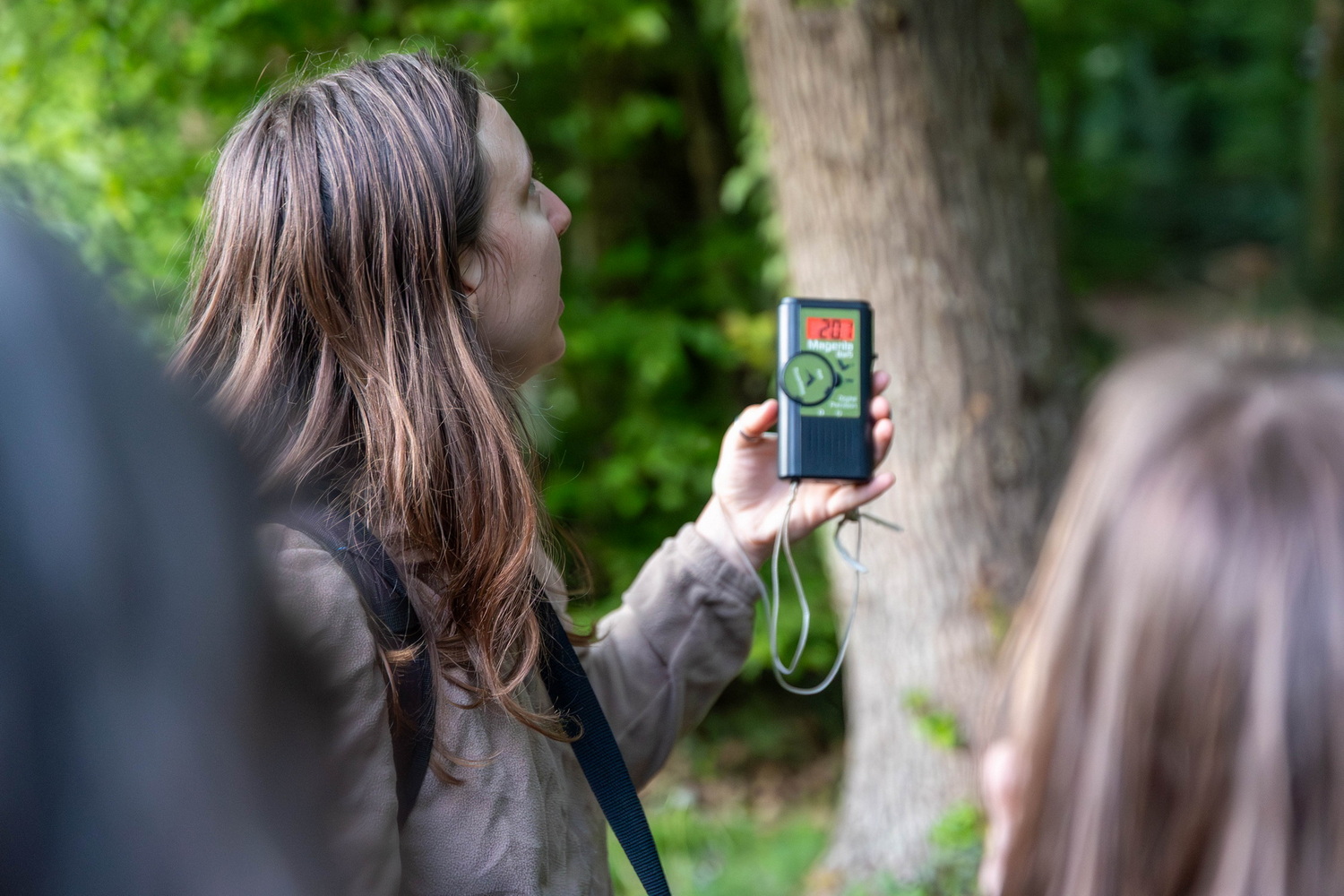 soirée chauve-souris médiathèque web (3)