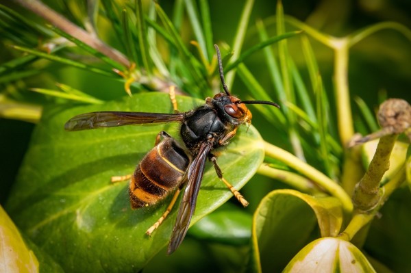 AdobeStock_499437871