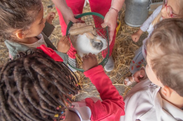 ferme_pedagogique_ecole_henri_adam (4) net