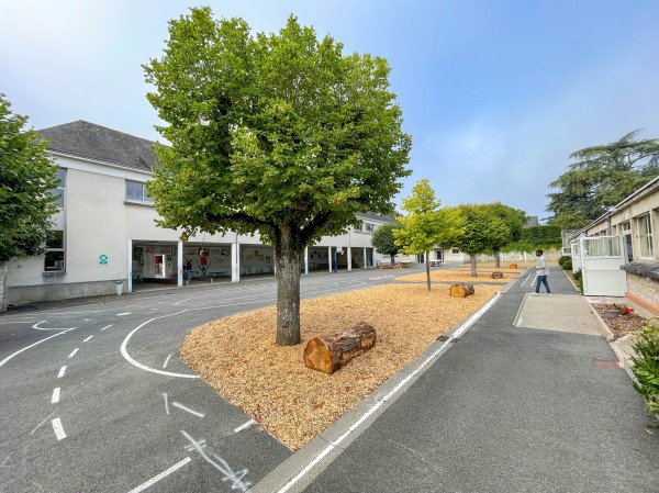 végétalisation écoles - 2 sept 2024 (3)